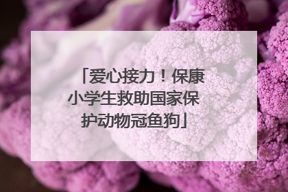 爱心接力！保康小学生救助国家保护动物冠鱼狗