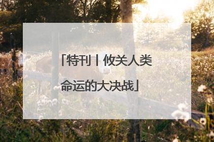 特刊丨攸关人类命运的大决战