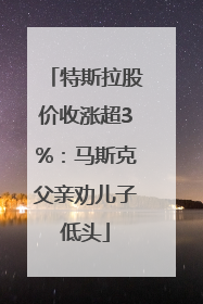 特斯拉股价收涨超3%：马斯克父亲劝儿子低头