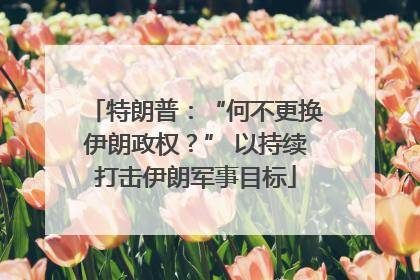 特朗普：“何不更换伊朗政权？” 以持续打击伊朗军事目标