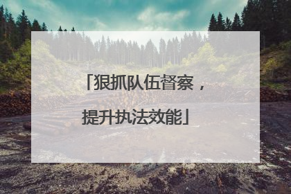 狠抓队伍督察，提升执法效能