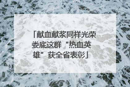 献血献浆同样光荣 娄底这群“热血英雄”获全省表彰