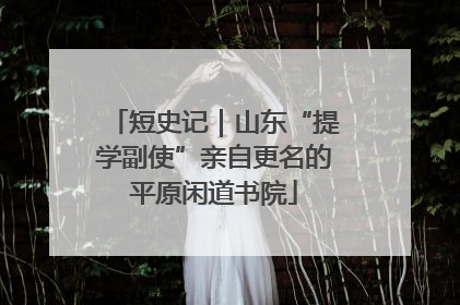 短史记｜山东“提学副使”亲自更名的平原闲道书院