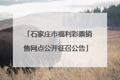 石家庄市福利彩票销售网点公开征召公告