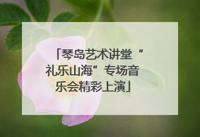 琴岛艺术讲堂“礼乐山海”专场音乐会精彩上演