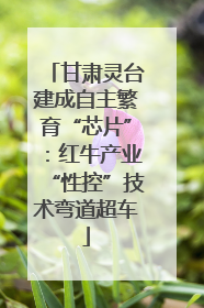 甘肃灵台建成自主繁育“芯片”：红牛产业“性控”技术弯道超车