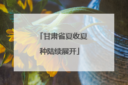 甘肃省夏收夏种陆续展开