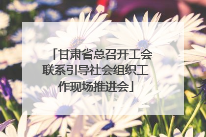 甘肃省总召开工会联系引导社会组织工作现场推进会