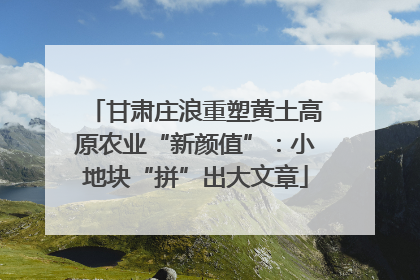 甘肃庄浪重塑黄土高原农业“新颜值”：小地块“拼”出大文章