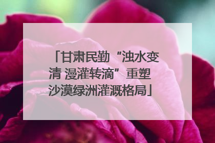 甘肃民勤“浊水变清 漫灌转滴”重塑沙漠绿洲灌溉格局