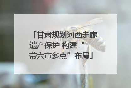 甘肃规划河西走廊遗产保护 构建“一带六市多点”布局