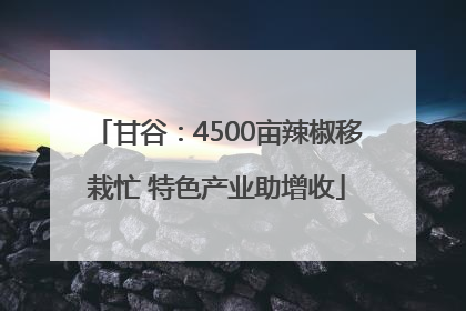 甘谷：4500亩辣椒移栽忙 特色产业助增收