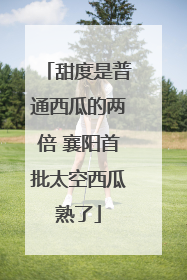 甜度是普通西瓜的两倍 襄阳首批太空西瓜熟了