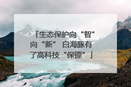 生态保护向“智”向“新” 白海豚有了高科技“保镖”