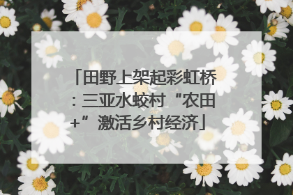 田野上架起彩虹桥：三亚水蛟村“农田+”激活乡村经济