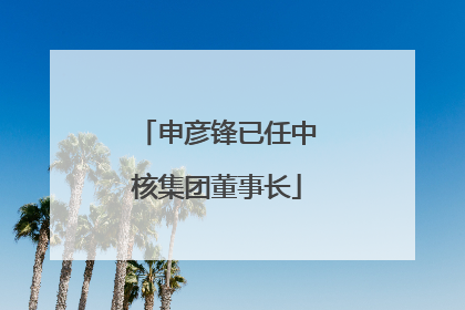 申彦锋已任中核集团董事长