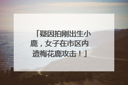 疑因拍刚出生小鹿，女子在市区内遭梅花鹿攻击！