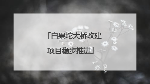 白果坨大桥改建项目稳步推进