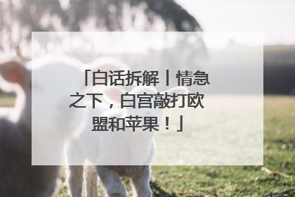 白话拆解丨情急之下，白宫敲打欧盟和苹果！