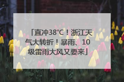 直冲38℃！浙江天气大转折！暴雨、10级雷雨大风又要来