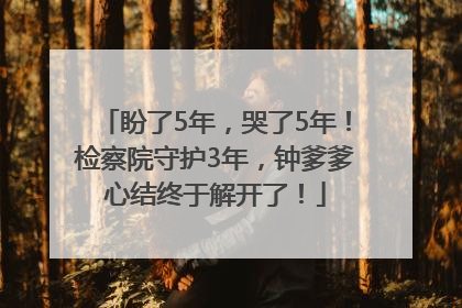 盼了5年，哭了5年！检察院守护3年，钟爹爹心结终于解开了！