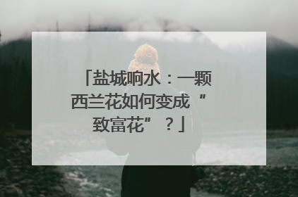 盐城响水：一颗西兰花如何变成“致富花”？