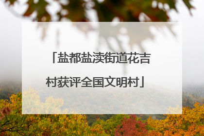 盐都盐渎街道花吉村获评全国文明村