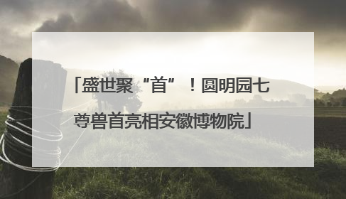 盛世聚“首”！圆明园七尊兽首亮相安徽博物院