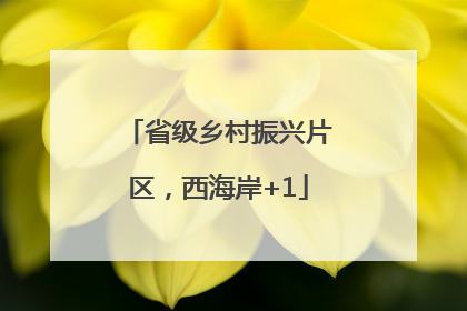 省级乡村振兴片区，西海岸+1