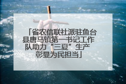 省农信联社派驻鱼台县唐马镇第一书记工作队助力“三夏”生产 彰显为民担当