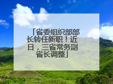 省委组织部部长转任新职！近日，三省常务副省长调整