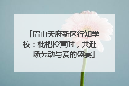 眉山天府新区行知学校：枇杷橙黄时，共赴一场劳动与爱的盛宴
