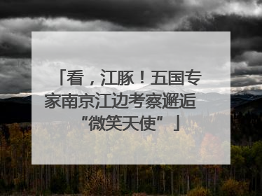 看，江豚！五国专家南京江边考察邂逅“微笑天使”