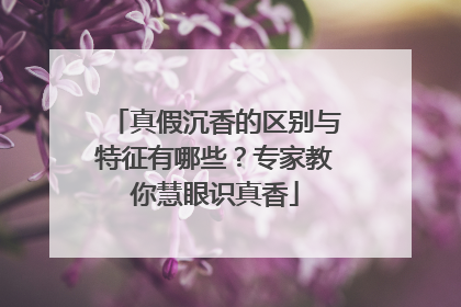 真假沉香的区别与特征有哪些？专家教你慧眼识真香