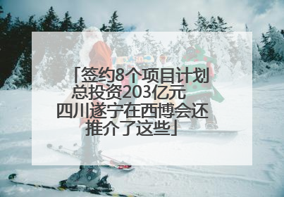 签约8个项目计划总投资203亿元 四川遂宁在西博会还推介了这些