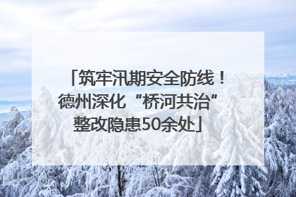 筑牢汛期安全防线！德州深化“桥河共治”整改隐患50余处