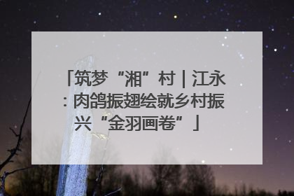 筑梦“湘”村｜江永：肉鸽振翅绘就乡村振兴“金羽画卷”