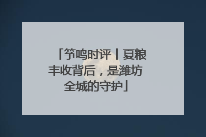筝鸣时评丨夏粮丰收背后，是潍坊全城的守护
