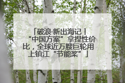 破浪·新出海记丨 “中国方案”拿捏性价比，全球近万艘巨轮用上镇江“节能桨”
