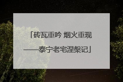 砖瓦重吟 烟火重现——泰宁老宅涅槃记