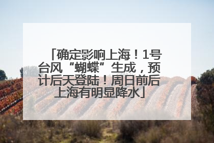 确定影响上海！1号台风“蝴蝶”生成，预计后天登陆！周日前后上海有明显降水