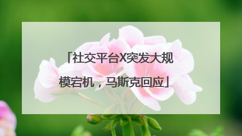 社交平台X突发大规模宕机，马斯克回应