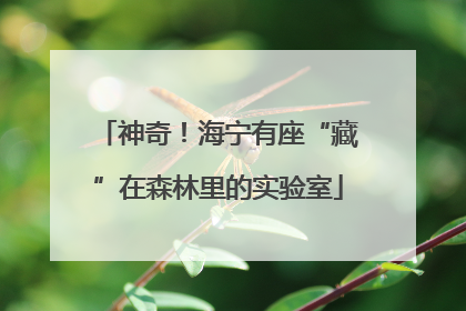 神奇！海宁有座“藏”在森林里的实验室