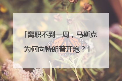 离职不到一周，马斯克为何向特朗普开炮？