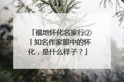 福地怀化名家行⑦丨知名作家眼中的怀化，是什么样子？