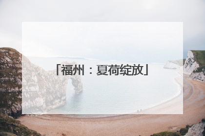 福州：夏荷绽放