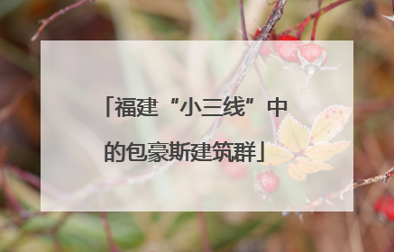 福建“小三线”中的包豪斯建筑群