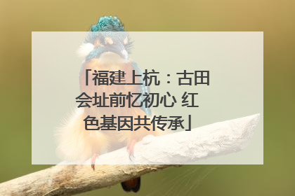 福建上杭：古田会址前忆初心 红色基因共传承