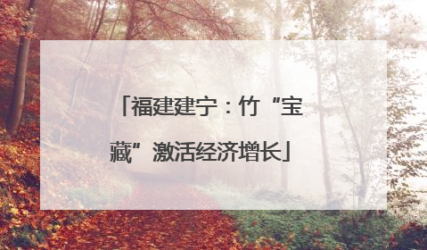 福建建宁：竹“宝藏”激活经济增长