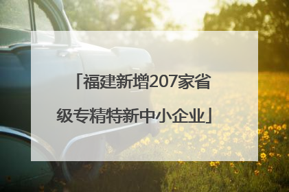 福建新增207家省级专精特新中小企业